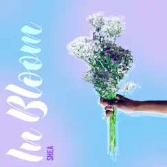 In Bloom - Single by Shea album reviews, ratings, credits