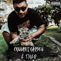 Cannabis Garden & Tiger - Single by Jojo Dollas album reviews, ratings, credits