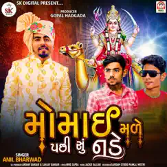 Momai Made Pachhi Su Nade - Single by Anil Bharwad album reviews, ratings, credits