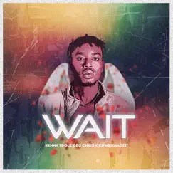 Wait (feat. DJ Chris & Chwezimadeit) Song Lyrics