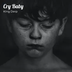 Cry Baby - Single by King Derp album reviews, ratings, credits
