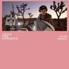 Joshua Tree Experience - Single by Peter Dranga album reviews, ratings, credits