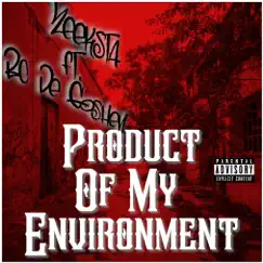 Product Of My Environment (feat. BC De Goshen) Song Lyrics