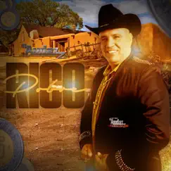 Rico Pobre - Single by El Audaz y Su Banda Sinay album reviews, ratings, credits