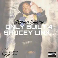 Only Built 4 Saucey Linx... by Stephen Dunlap album reviews, ratings, credits