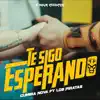 Te Sigo Esperando - Single album lyrics, reviews, download