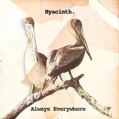 Always Everywhere. - EP by Hyacinth. album reviews, ratings, credits