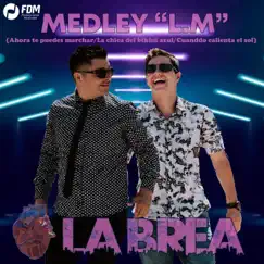 Medley L.M (Ahora Te Puedes Marchar / La Chica del Bikini Azul / Cuando Calienta el Sol) - Single by La Brea album reviews, ratings, credits