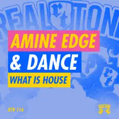 What Is House - Single by Amine Edge & DANCE album reviews, ratings, credits
