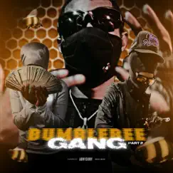 Bumblebee Gang Pt. 2 (feat. Li Rambo, Hopoutblick & Ybcdul) Song Lyrics