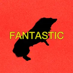 Fantastic - Single by RhymeTube album reviews, ratings, credits