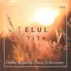 Elul אלול - Single album lyrics, reviews, download