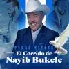 El Corrido de Nayib Bukele song lyrics