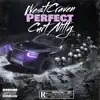 Perfect (feat. Curt Nitty) - Single album lyrics, reviews, download