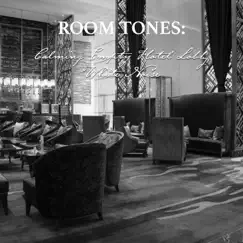 Room Tones: Calming Empty Hotel Lobby White Noise by Nowak Sommer album reviews, ratings, credits