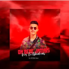 Oh Bebê Jamais Vou Te Abandonar - Single by Dj Peter Pan album reviews, ratings, credits