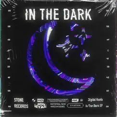 In the Dark (feat. Samstone) - Single by Digital Koala album reviews, ratings, credits