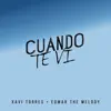 Cuando Te Ví (feat. edmar the melody) - Single album lyrics, reviews, download