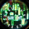 Sum Shit (feat. Bando Wavey) - Single album lyrics, reviews, download