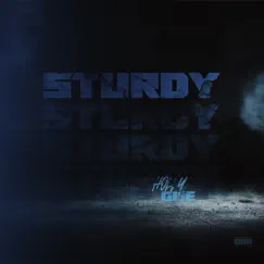 Sturdy - Single by Hollygme album reviews, ratings, credits