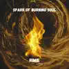 Spark of Burning SOUL - Single album lyrics, reviews, download