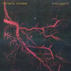 No One Knows - Single by Indulgent album reviews, ratings, credits