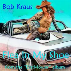 Flea In My Shoe Song Lyrics