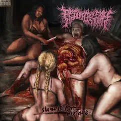 Slampilation Mixtape (Compilation Version) by PeelingFlesh album reviews, ratings, credits