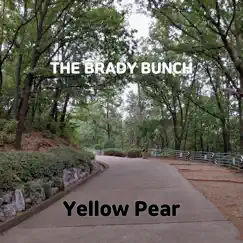 The Brady Bunch Song Lyrics
