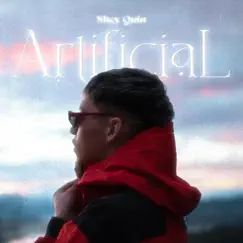 Artificial (feat. Shey Quin) - Single by Bizarre Crew album reviews, ratings, credits