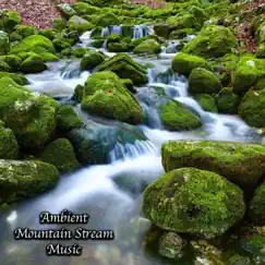 Ambient Mountain Stream Music by Relaxation Sensations album reviews, ratings, credits