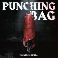 Punching Bag - Single by Marshall Zuniga album reviews, ratings, credits