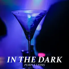 In the Dark (Piano Version) - Single by Purple Lions album reviews, ratings, credits