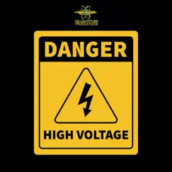 Danger High Voltage by Various Artists album reviews, ratings, credits