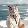 Friends in High Branches - Single album lyrics, reviews, download