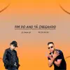 Fim do Ano Tá Chegando - Single album lyrics, reviews, download