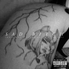 Sad bitch (feat. Púdrete Aragon) Song Lyrics