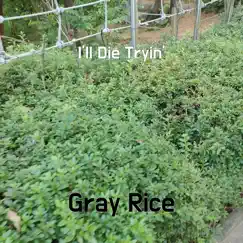 I'll Die Tryin' - Single by Gray Rice album reviews, ratings, credits