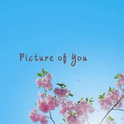 Picture of You Song Lyrics