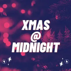 Xmas @ Midnight - Single by Davis Chris, Mr Foster & F'iona Mesha' album reviews, ratings, credits