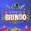 Brindo - Single album lyrics, reviews, download
