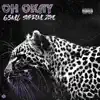 OH OKAY (feat. Supreme Zaye) - Single album lyrics, reviews, download