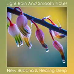 Light Rain and Smooth Notes by Healing Sleep & New Buddha album reviews, ratings, credits