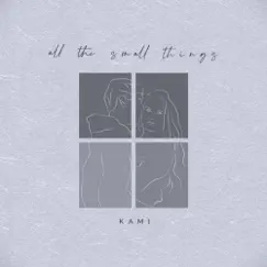 All the Small Things (Acoustic) Song Lyrics