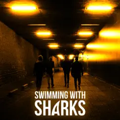 Swimming With Sharks Song Lyrics