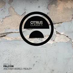 Another World / Reality - Single by Falcon album reviews, ratings, credits