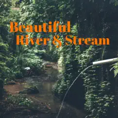 Beautiful River & Stream by River Sleep Aid, Life Sounds Nature & Nature Sounds Artists album reviews, ratings, credits
