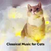 Cat Music album lyrics, reviews, download