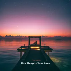How Deep is Your Love - Single by Vivo Lector album reviews, ratings, credits