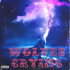 Wooves Crying - Single by Mellow Viper album reviews, ratings, credits